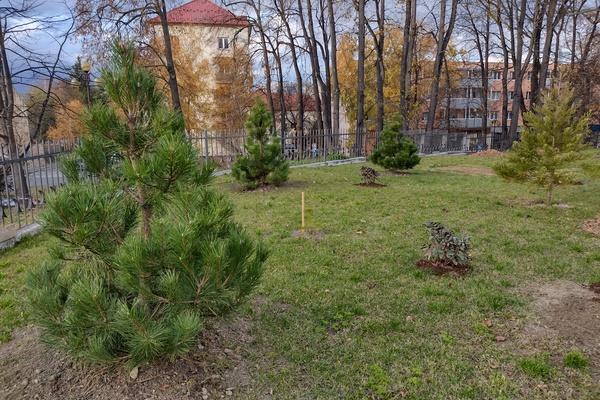 Časť náhradnej výsadby v areáli múzea, Október 2025
