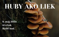 Huby ako liek