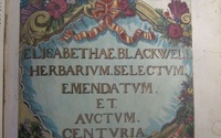 Sig. 7603 Blackwell Herbarium
