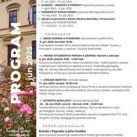 Program 06/2025