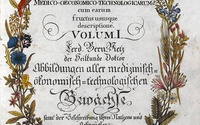 VIETZ, Ferdinand Bernhard: Icones Plantarum
