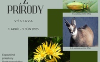 Dvojníci - menovci z prírody